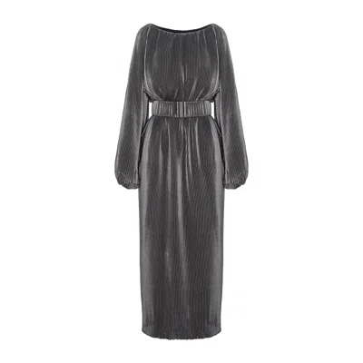 Silvia Serban Women's Dress In Patinated Silver Pleated Voile
