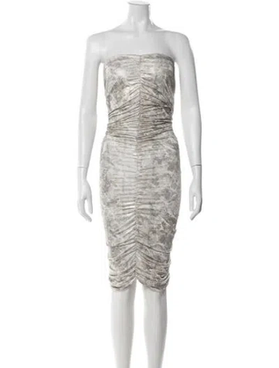 Pre-owned Silvia Tcherassi Animal Print Knee-length Dress In Gray