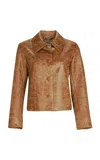 Silvia Tcherassi Columba Jacket In Tan