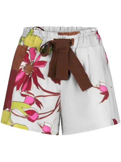 Silvia Tcherassi Floral-print Shorts In Multi