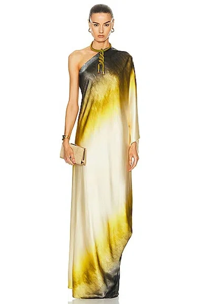 Silvia Tcherassi Women's Inu Silk Ombré Maxi Dress In Amber Watercolor