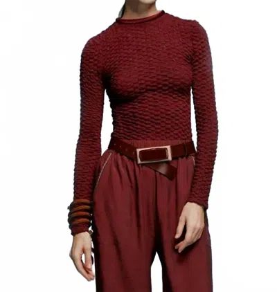 Silvia Tcherassi Jari Long Sleeve Top In Burgundy