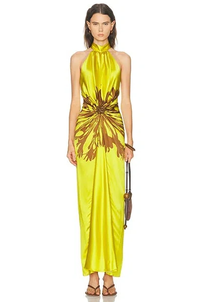 Silvia Tcherassi Koori Dress