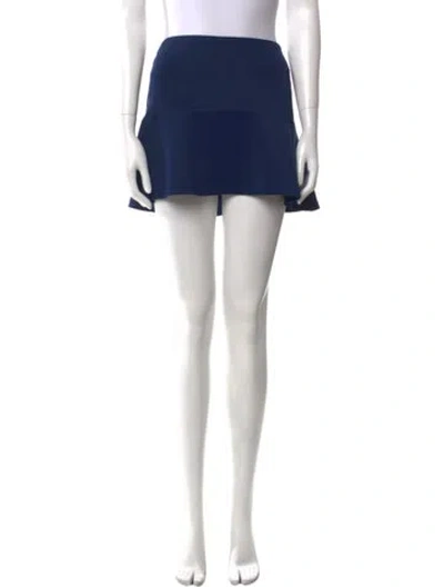 Pre-owned Silvia Tcherassi Mini Skirt In Blue