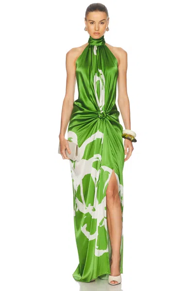 Silvia Tcherassi Olatz Dress In Green Bloom