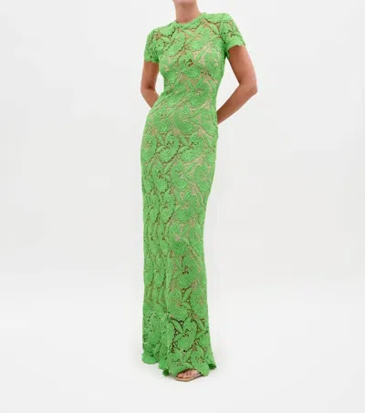 Silvia Tcherassi Roxana Maxi Dress In Green Guipure