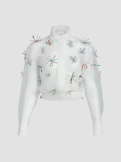 Silvia Tcherassi Women's Katniss Embroidered Cropped Jacket In Multicolor Stripes