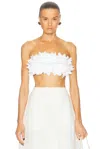 Simkhai Abril Topwear In White Cotton In White