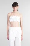 Simkhai Abril Topwear In White Cotton In White