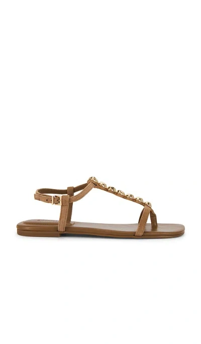 Simkhai Amaya Suede Thong Flat Sandal In Brown
