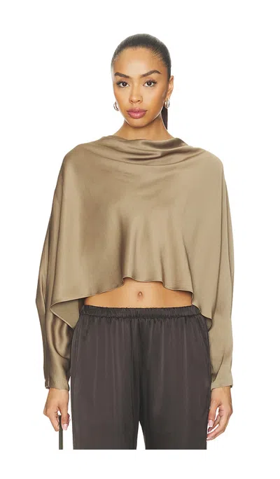 Simkhai Bearitz Long Sleeve Top In Brown