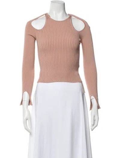 Pre-owned Simkhai Crew Neck Long Sleeve Top W/ Tags In Neutral