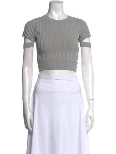 Pre-owned Simkhai Crew Neck Short Sleeve Crop Top In Gray