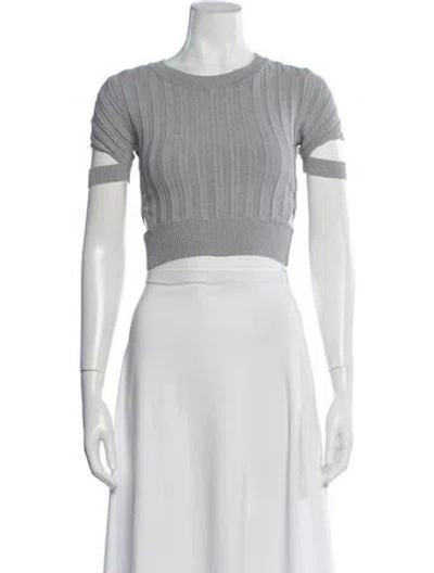 Pre-owned Simkhai Crew Neck Short Sleeve Crop Top In Gray