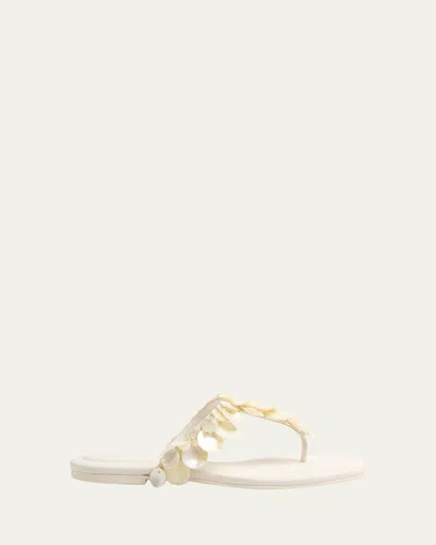 Simkhai Elin Natural Shell Beaded Thong Sandal In Silver