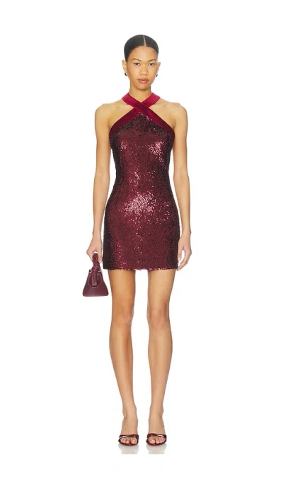 Simkhai Isla Halter Neck Mini Dress In Burgundy