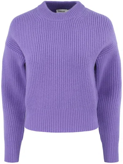 Simkhai Linda Ribbed Merino Wool-blend Sweater In Purple