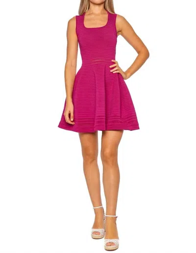 Simkhai Lottie Knit Mini Dress In Bougainvillea In Pink