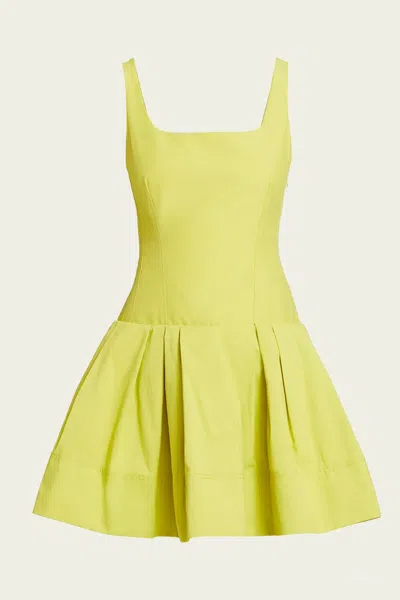 Simkhai Lucy Sleeveless Mini Dress In Yellow Plum
