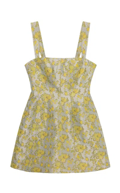 Simkhai Lydia Floral-jacquard Mini Dress In Brown
