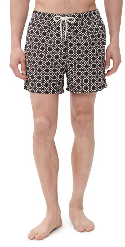 Simkhai Malachi Swim Shorts 14.5 Chocolate Ivory In Multi