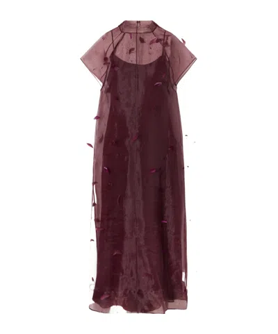 Simkhai Pauline Feather-trimmed Organza Midi Dress In Burgundy