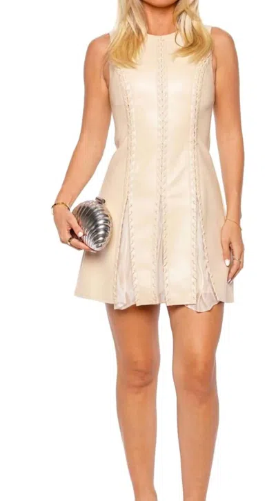 Simkhai Remmie Mini Dress In Point Dume In Animal Print