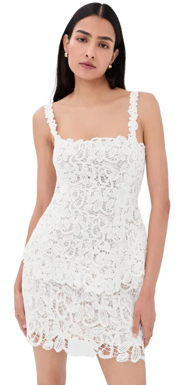Simkhai Rylin Floral Raffia Lace Mini Dress In White
