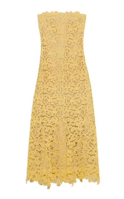 Simkhai Sera Floral Raffia Bustier Midi Dress In Yellow