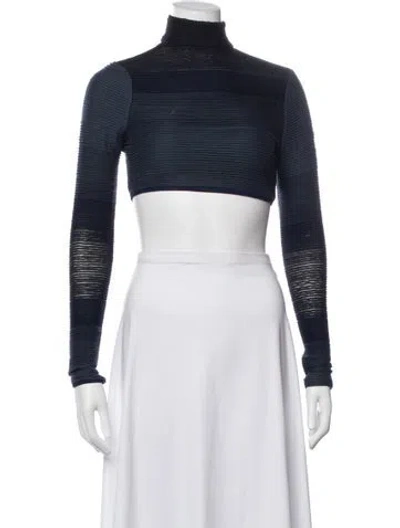 Pre-owned Simkhai Turtleneck Long Sleeve Crop Top In Blue