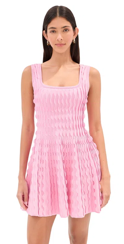 Simkhai Vanna Scalloped Knit Mini Dress Daisy In Pink