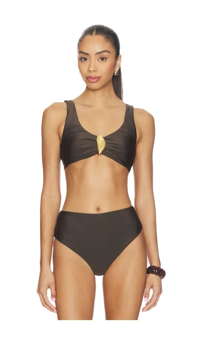 Simkhai Womens Chocolate Veyra Shell Stretch Bikini Top In Multi