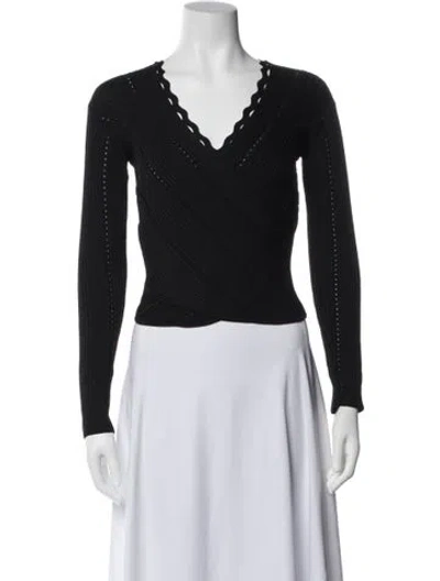 Pre-owned Simkhai V-neck Sweater In Blue