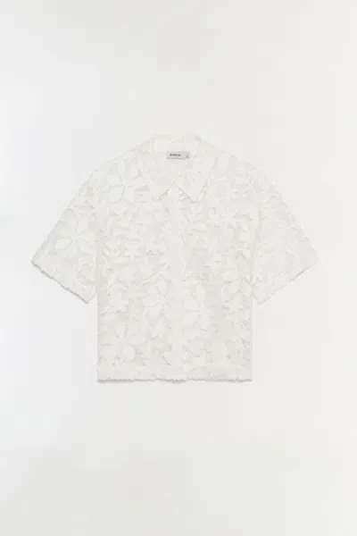 Simkhai Women's Annaelle Cotton Lace Top In White