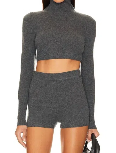 Simkhai Women's Brie Turtleneck Top In Grey In Gray