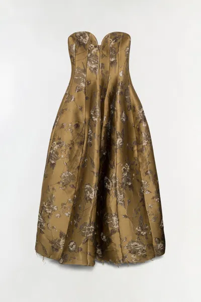 Simkhai Women's Elaria Jacquard Bustier Gown In Bronze In Brown