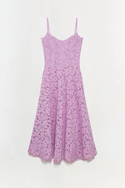 Simkhai Women's Julia Lace Midi Dress In Orchid