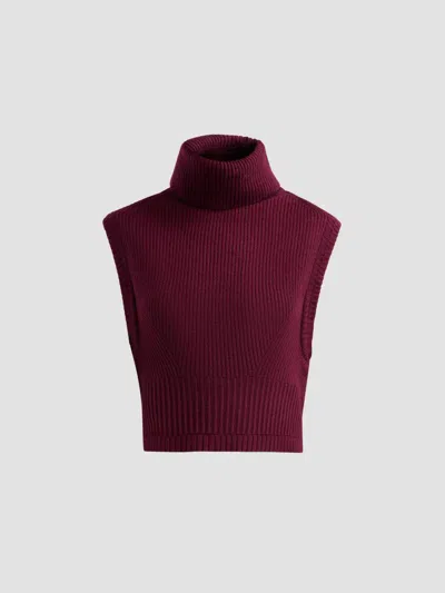 Simkhai Women's Maple Wool-cashmere Vest In Red