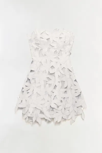 Simkhai Women's Miri Embroidered Cotton Bustier Mini Dress In Ivory In Multi