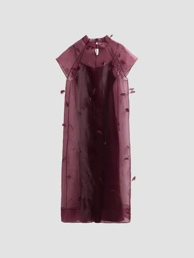 Simkhai Pauline Organza Feather Midi Dress In Burgundy