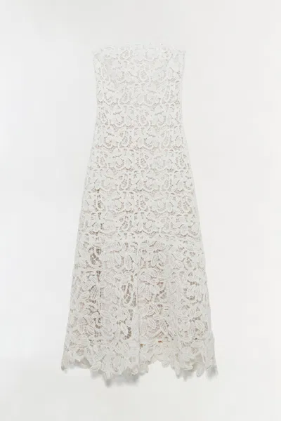 Simkhai Women's Sera Floral Raffia Bustier Midi Dress In Ivory In Multi