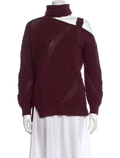 Pre-owned Simkhai Wool Turtleneck Sweater In Burgundy