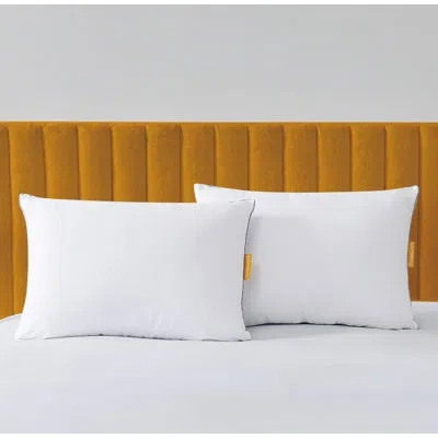 Simmons Dual Action Cooling 2 Pack Pillow In White