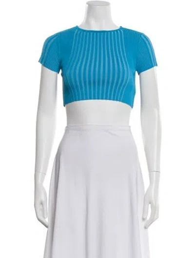Pre-owned Simon Miller Striped Crew Neck Crop Top In Blue