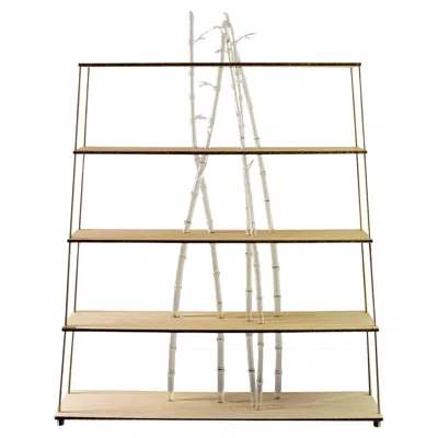 Pre-owned Simone Crestani Bambuseto Wood And Glass Bookshelf By  In Brown