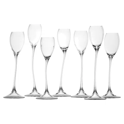 Pre-owned Simone Crestani Spirit Set Of 7 Tulip Glasses In Gray