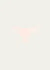 Simone Perele Delice Lace Mesh Thong In Blush