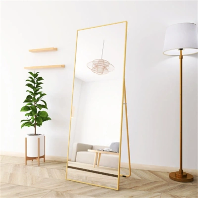 Simplie Fun Wall-mounted Alloy Frame Full Length Mirror In Gold