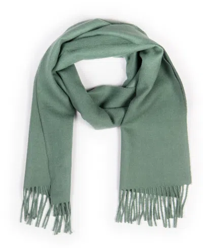 Simply Natural Solid Alpaca Scarf In Sage