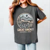 Simply Sage Market Great Smoky National Park Two-toned Circle - Women's Heavyweight Graphic T-shirt In Gray